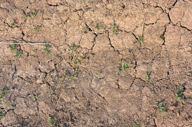 Kuru çamur, zemini çatlatmış. Kuraklık sezonu geçmişi. Kuru ve çatlamış toprak, yağmur eksikliğinden dolayı kuru. İklim değişikliğinin çölleşme ve kuraklık gibi etkileri.