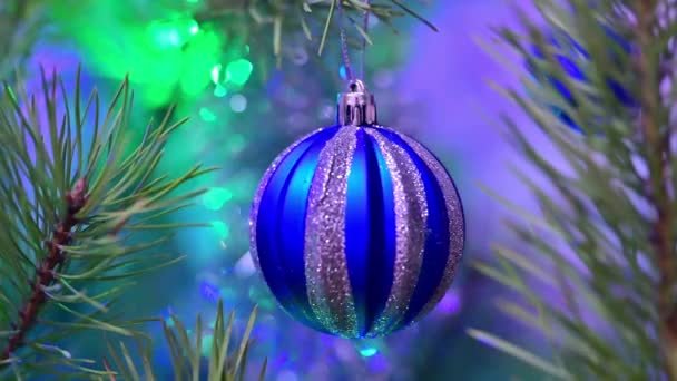 Árbol Navidad Decorado Con Bola Vidrio Azul Rama Abeto Navidad — Vídeo de stock