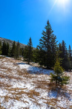 Baharda eşsiz bir manzarası, bitkisi ve çeşitliliği olan Güney Ural Dağları.
