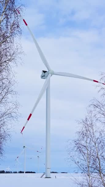 Wind Turbines Frosty Winter Day Snowy Field Alternative Energy Sources — Stock Video