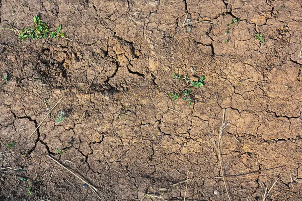 Dry mud cracked ground texture. Drought season background. Dry and cracked land, dry due to lack of rain. Effects of climate change such as desertification and droughts.