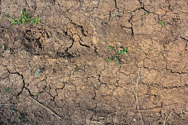 Barro Seco Agrietado Textura Del Suelo Fondo Temporada Sequía Terreno Fotos de stock