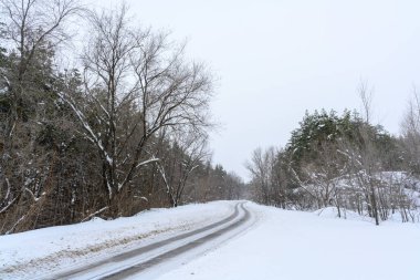 Dağlık bir ormanda karlı kış yolu. Güzel kış manzarası.