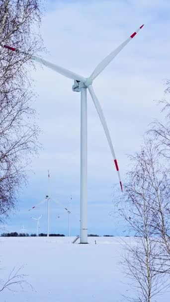 Turbiny Wiatrowe Mroźny Zimowy Dzień Śnieżnym Polu Alternatywne Źródła Energii — Wideo stockowe