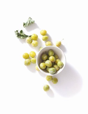 Greemgage plums top view on white background