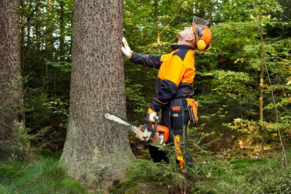 带防护服和链锯的专业伐木工在森林中工作 — 图库照片