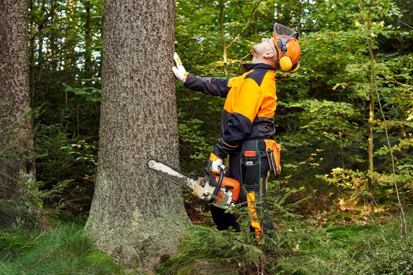 Leñador Profesional Con Ropa Trabajo Protectora Motosierra Trabajando Bosque — Foto de Stock