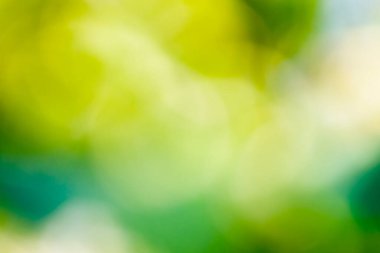 Özet olarak arkaplan için doğal bulanık yeşil renk, bulanık ve odaksız etki bahar ve yaz koncept tasarımı için.