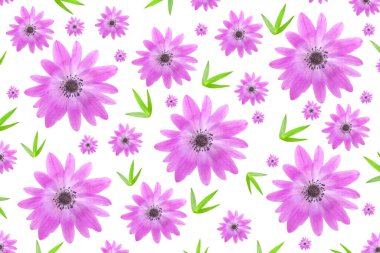 Çiçek desenli, kır çiçeği yapraklı, beyaz arka planda bahçıvanlaşmış pembe şakayık. 