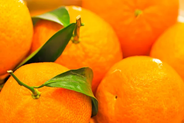 Tangerines — Stock Photo, Image