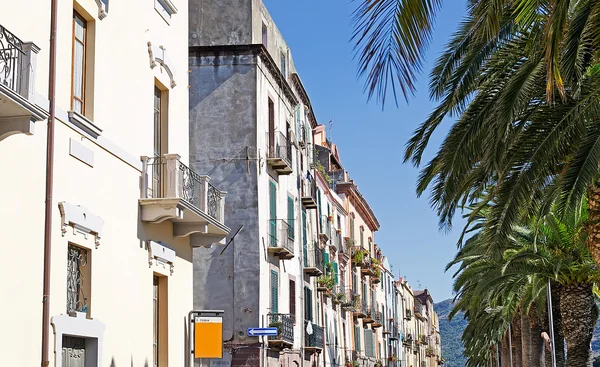 Edifícios e palma — Fotografia de Stock