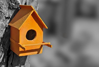 Turuncu kuş evi