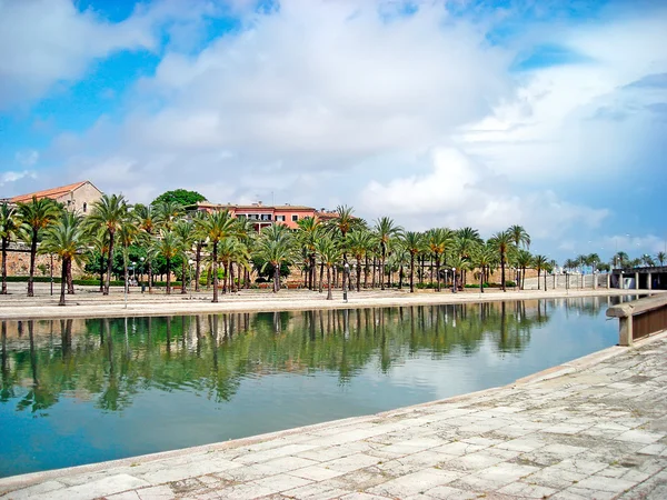 Palma de mallorca trädgård — Stockfoto