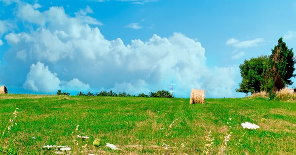 Primavera en Cerdeña — Foto de Stock