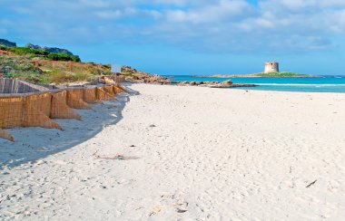 La pelosa gökyüzü