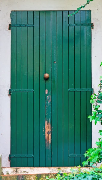 Green door — Stock Photo, Image