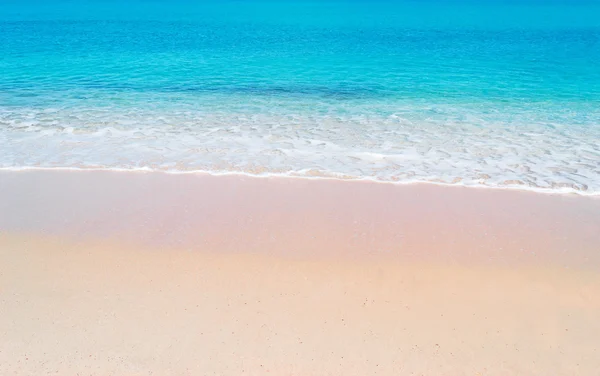 Orilla del mar rosa —  Fotos de Stock