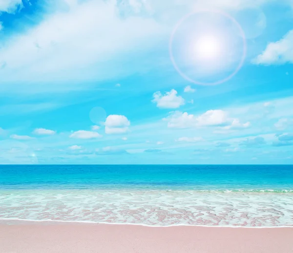 Pink paradise beach — Stockfoto