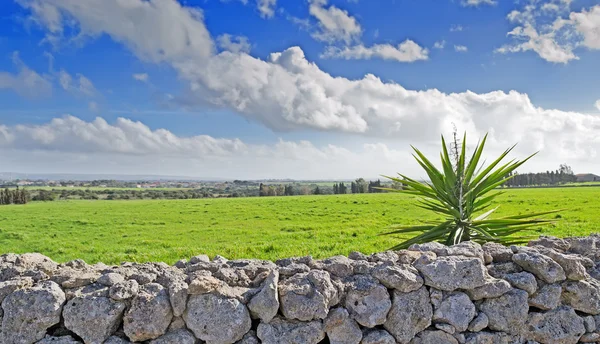 Campo de aplicação — Fotografia de Stock