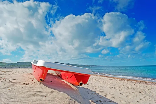 Bir bulutlu gökyüzü altında pedallı bot — Stok fotoğraf