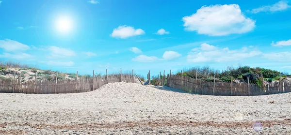 Palizzata in spiaggia — Foto Stock