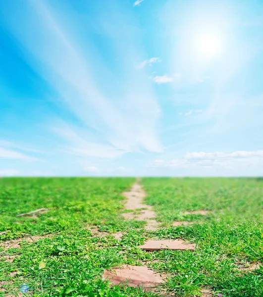 Path in the grass — Stock Photo, Image