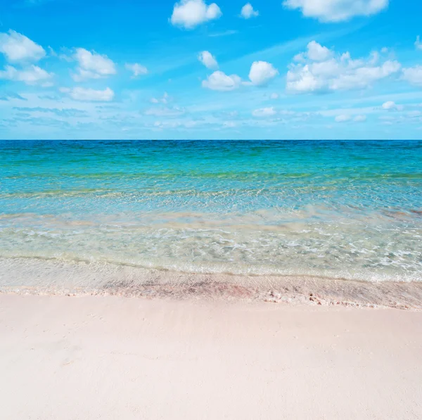 Pink sand under a cloudy sky — Stock Photo, Image