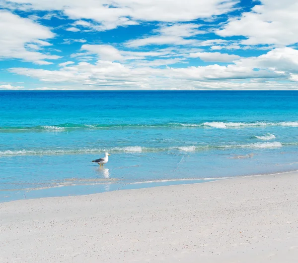 White beach and blue sky — Stock Photo, Image