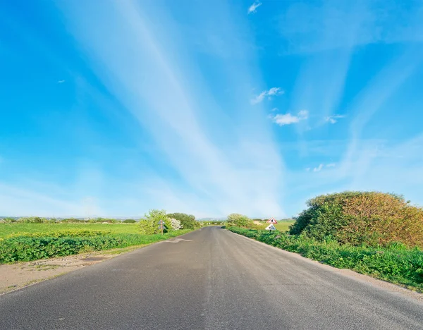 Asphalt in the countryside — Stock Photo, Image