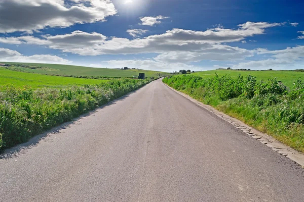 Strada della sardina — Foto Stock