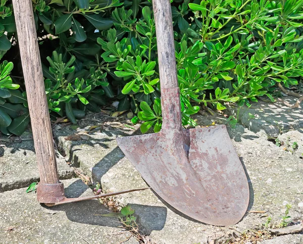 Hoe and shovel — Stock Photo, Image