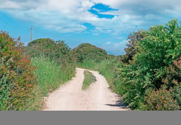 Nubes blancas y camino de campo —  Fotos de Stock