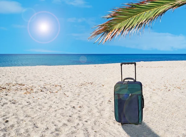 Bavul ve güneş — Stok fotoğraf