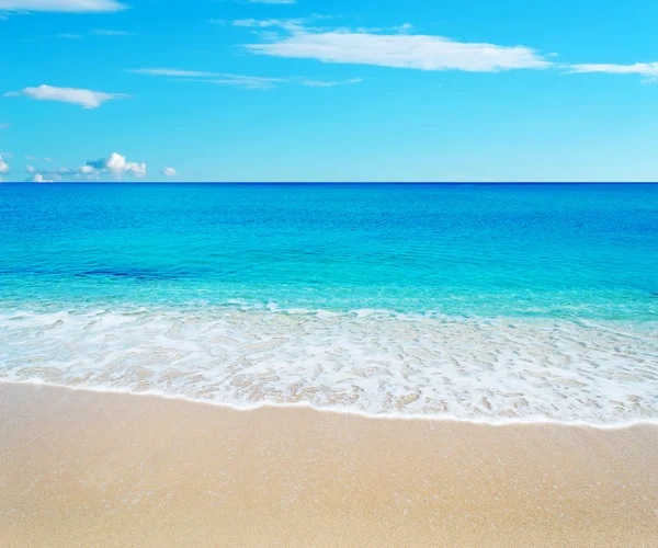 Spiaggia dorata e cielo blu — Foto Stock