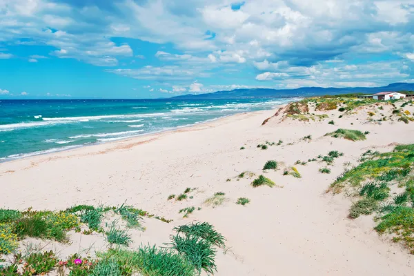 Giorno di primavera sulla riva — Foto Stock