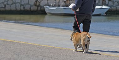 köpek yürüyüş