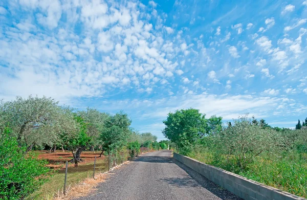 Landsväg och moln — Stockfoto