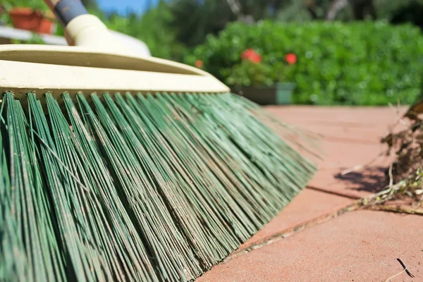 Green broom closeup — Stock Photo, Image