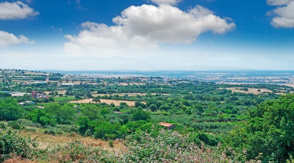 Bluen himlen i Sardinien — Stockfoto