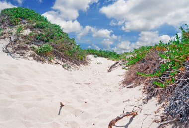 Dune kum ve bulutlar