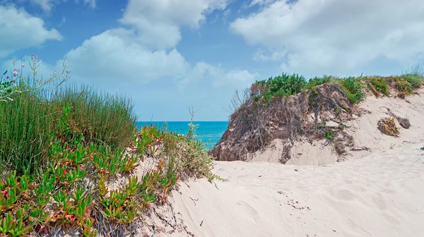 Dune di sabbia e cielo blu — Foto Stock