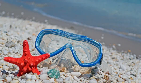 Mask and seastar by the coast — Stock Photo, Image