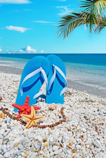 Sandals and palms — Stock Photo, Image