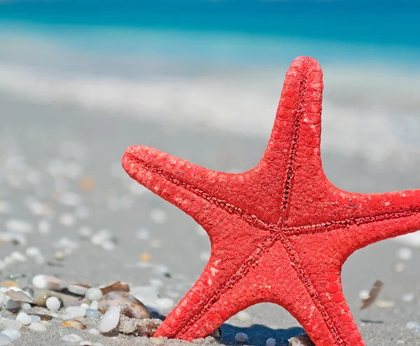 Red star and turquoise water — Stock Photo, Image