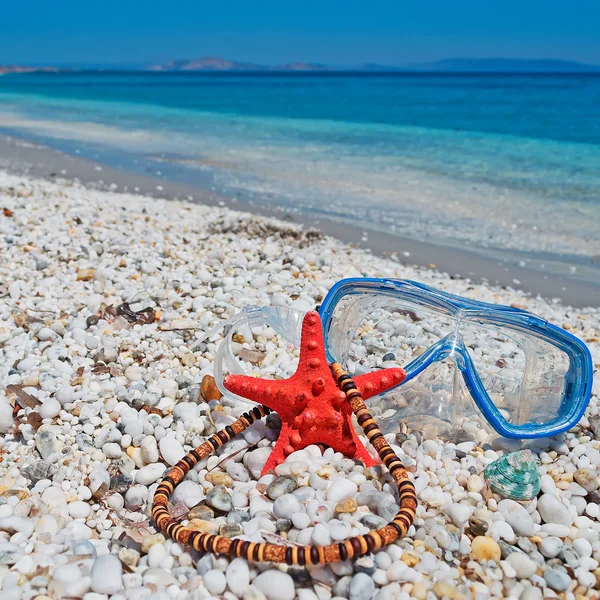 Collier et étoile de mer — Photo