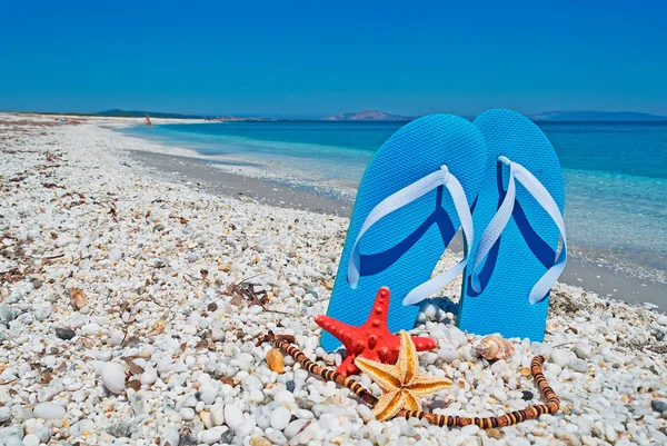 Sandales et étoiles de mer — Photo