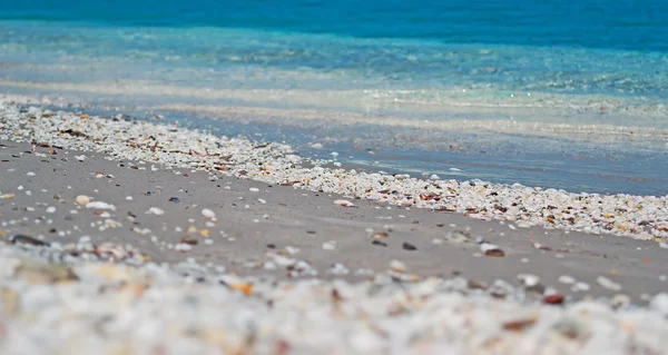 Ciottoli bianchi sulla spiaggia — Foto Stock