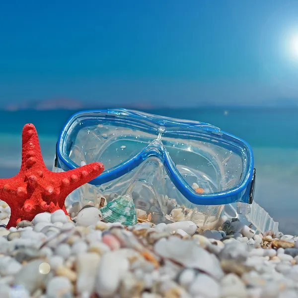 Maske ve deniz yıldızı — Stok fotoğraf