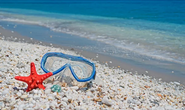 Maschera e stelle marine sulla riva — Foto Stock