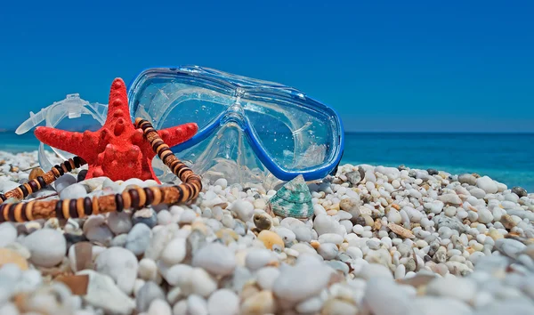 Estrela do mar com colar — Fotografia de Stock